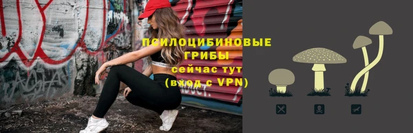 СК Пролетарск