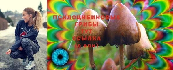 СК Пролетарск