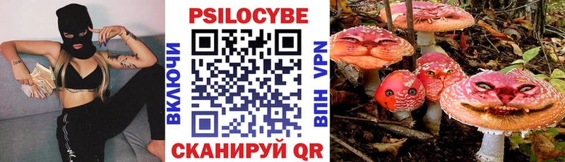 Галлюциногенные грибы MAGIC MUSHROOMS  где купить   Абаза 